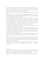 [감상문]영화 변검을 보고-1