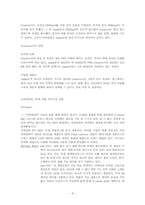 아이리버의 미국시장진출-6