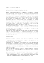 아이리버의 미국시장진출-10