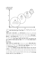 [마케팅]렉서스의 한국진출 전략-10