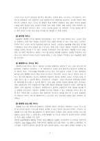 [매체발달사]인터렉티브(INTERACTIVE) TV에 대한 논의-8