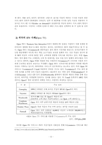 [매체발달사]인터렉티브(INTERACTIVE) TV에 대한 논의-9