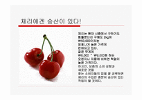 [국제경영] 체리수입에관한보고서-6
