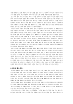 [마케팅전략]문화 마케팅-4