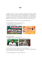 [스포츠마케팅] SK와이번스 스포테인먼트와 마케팅전략-14