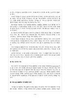 [전자상거래] 싸이월드 비즈니스 모델 분석-7