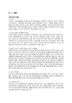[소비자행동론] 소나타 트랜스폼의 차량구입에 관한 소비자행동론의 분석과 적용-18