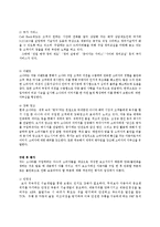 [소비자행동론] 소나타 트랜스폼의 차량구입에 관한 소비자행동론의 분석과 적용-19
