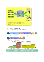 [조직구조] 포스코 조직 구조 개선을 통한 성과 개선-12