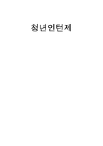 청년인턴제 레포트-1
