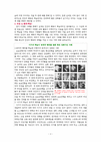 [조직행동] 학습된 인간의 행동-4