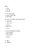 저가 항공사 진에어 미래 성공 전략-2
