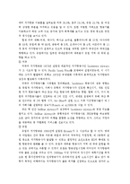 저가 항공사 진에어 미래 성공 전략-4
