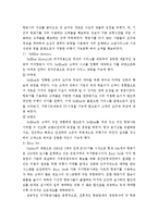 저가 항공사 진에어 미래 성공 전략-10
