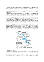 [운송론] 한반도 대운하 실효성-10