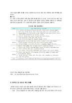 [중동경제론] 이라크 진출을 위한 한국의 전략-4
