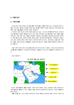 [중동경제론] 이라크 진출을 위한 한국의 전략-9