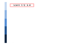 [생산관리] 공급사실관리(SCM) 실패사례와 성공사례-4