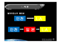 항공사간 얼라이언스의 독점금지법 적용 면제에 대한 효과-5