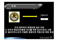 항공사간 얼라이언스의 독점금지법 적용 면제에 대한 효과-8
