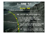 [소비자행동론] 소나타 트랜스폼의 구매의사결정과정-5