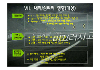 [소비자행동론] 소나타 트랜스폼의 구매의사결정과정-13