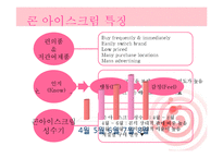 [마케팅] 아이스크림 빙그레 메타콘 마케팅전략-3