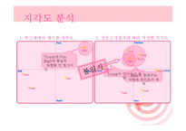 [마케팅] 아이스크림 빙그레 메타콘 마케팅전략-8