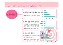 [마케팅] 아이스크림 빙그레 메타콘 마케팅전략-9