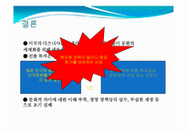 [유럽시장연구] 유로디즈니의 프랑스진출과 결과-19
