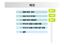 현금융시장의문제와 해결방안-2