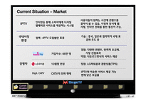 MegaTV(메가tv) 마케팅전략-2