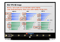 MegaTV(메가tv) 마케팅전략-4