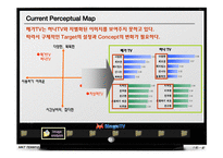 MegaTV(메가tv) 마케팅전략-5