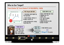 MegaTV(메가tv) 마케팅전략-7