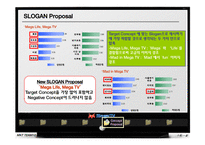 MegaTV(메가tv) 마케팅전략-9