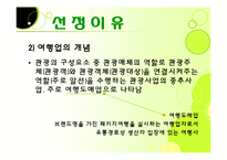 [관광사업론] 여행사 여행상품 문제점 해결방안-5