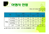 [관광사업론] 여행사 여행상품 문제점 해결방안-9