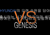 [국제경영] 현대자동차 제네시스 미국진출-11