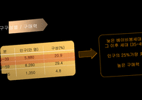 [국제경영] 현대자동차 제네시스 미국진출-19