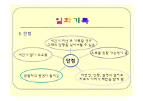 [유아 관찰] 일화기록-5