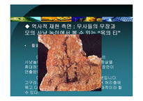 [역사콘텐츠] `태극기 휘날리며`와 `왕의 남자`로 본 영화와 영화 콘텐츠-18