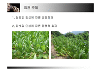 담뱃값 인상 레포트-3