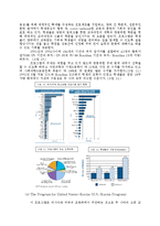 미국 FIPSE와 한국의 과학기술국제화 사업-6