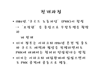 [정치발전론] 터키-9