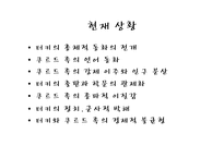 [정치발전론] 터키-12