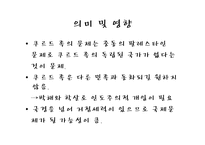 [정치발전론] 터키-14