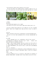 [소비자행동론] 14장 커뮤니케이션(집단내 -구전, 집단간 -혁신)-10