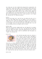 일본의 음식문화-8