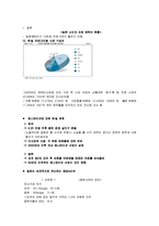 [일본문화] 한국 애니메이션과 일본 아니메에 대한 고찰-9